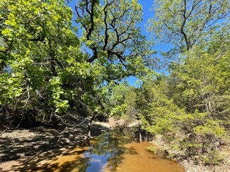 Plus de détails pour 986 US-183 Hwy, Goldthwaite, TX - Terrain à vendre