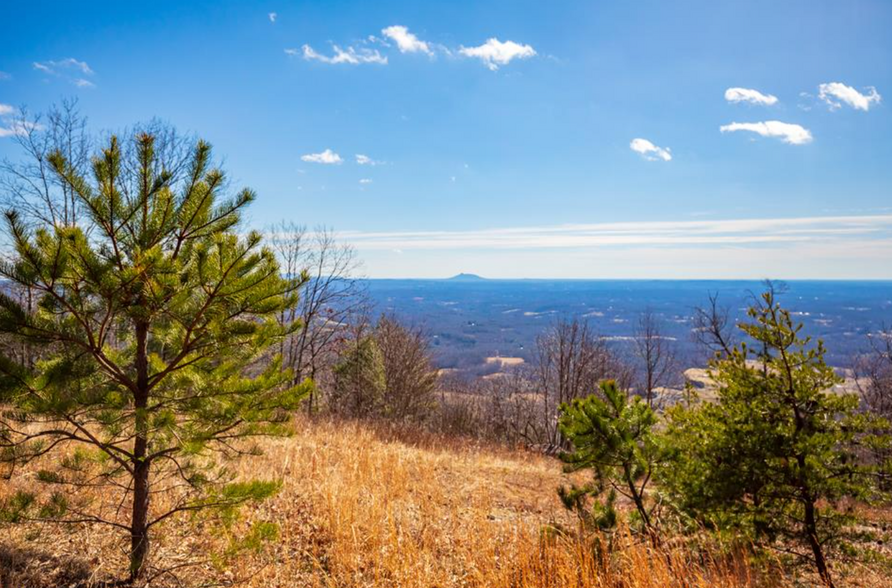 92 Acre Spring Pond Trl, Fancy Gap, VA for sale - Aerial - Image 1 of 5