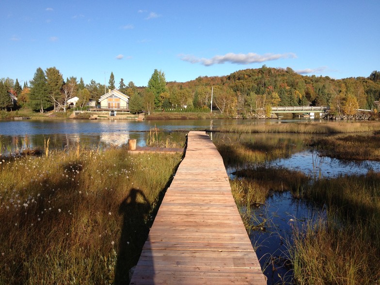 277 Ch du Lac-Ludger, Lantier, QC à vendre - Autre - Image 1 de 1