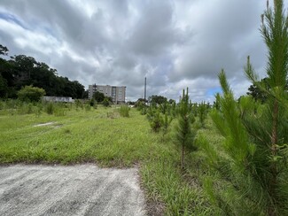 Plus de détails pour 252 NW Cali Dr, Lake City, FL - Terrain à vendre