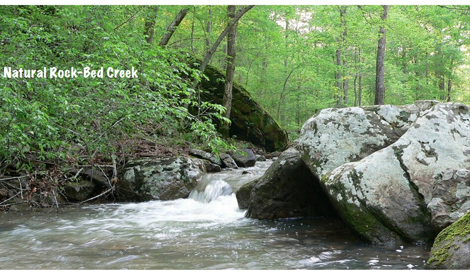 635 Robinson Hill Rd, Makanda, IL à vendre - Photo du bâtiment - Image 3 de 9