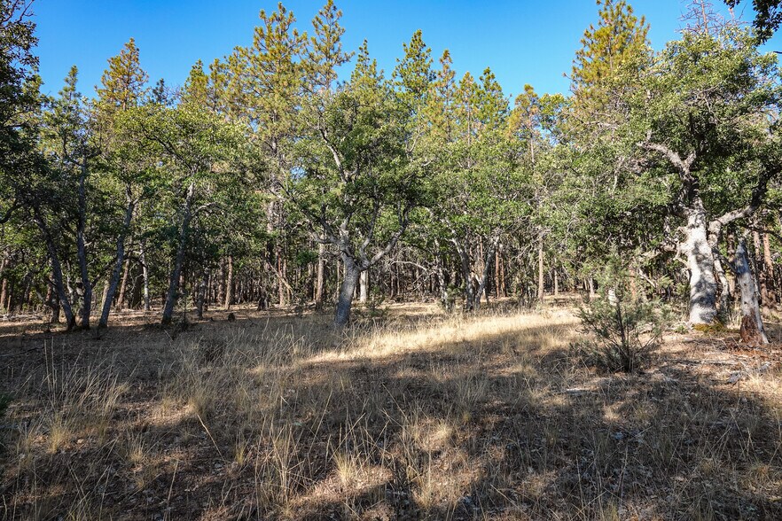 0 East Rd, Fort Jones, CA à vendre - Photo du bâtiment - Image 3 de 25