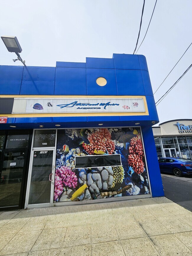 Plus de détails pour 1079-1083 Willis Ave, Albertson, NY - Bureau/Commerce de détail à louer