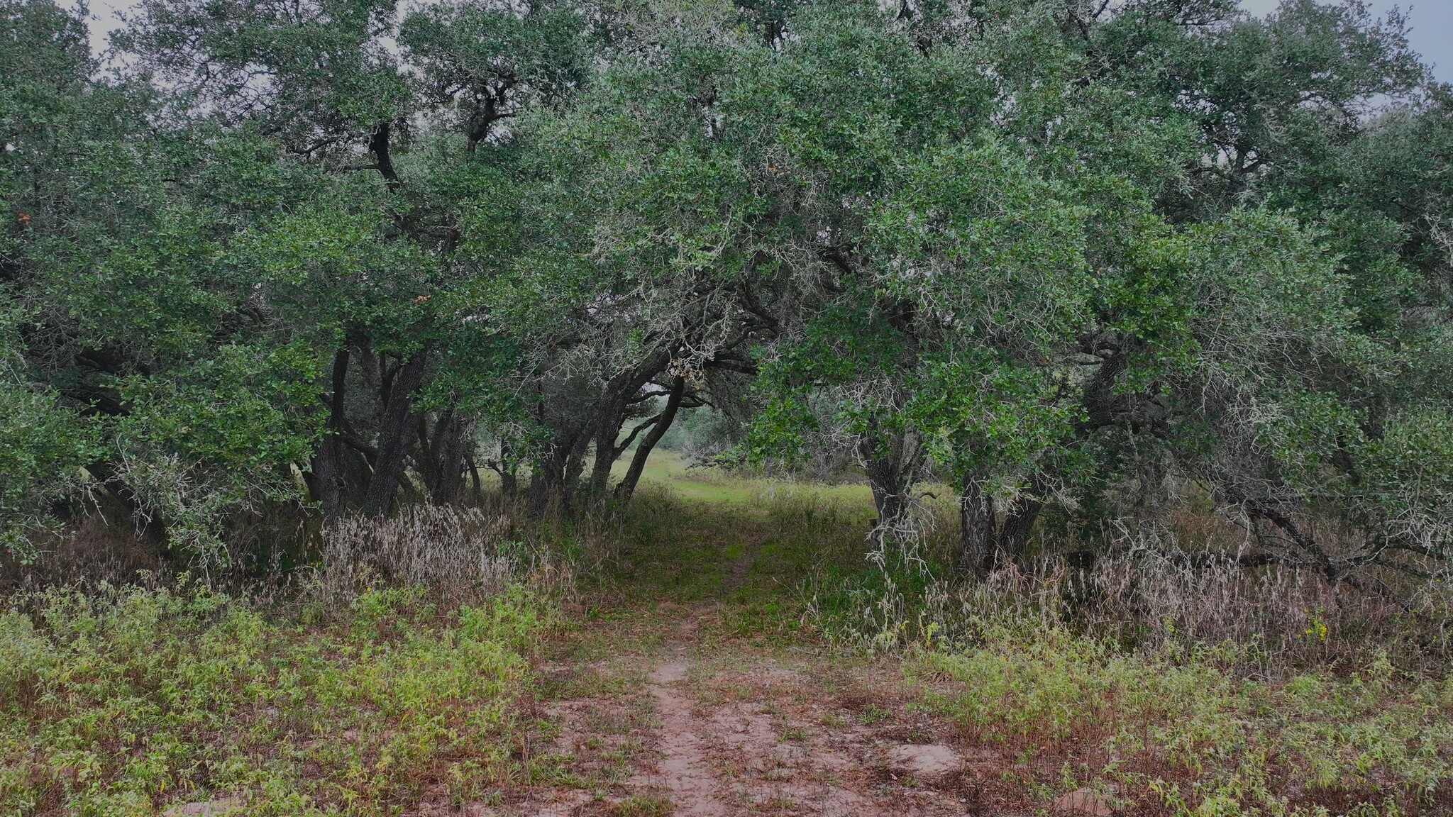 3611 Coletoville Rd, Victoria, TX for sale Primary Photo- Image 1 of 3