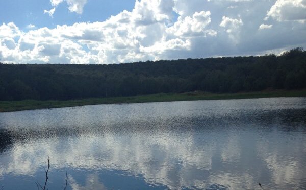 9680 W Gleed Station Rd, Ash Fork, AZ à vendre Photo du bâtiment- Image 1 de 5