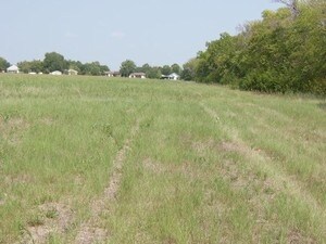 More details for FM 814, Trenton, TX - Land for Sale
