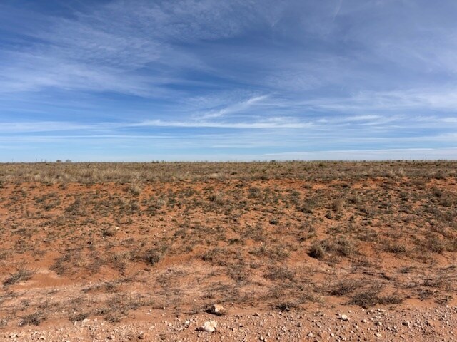 County Road 225, Plains, TX à vendre - Autre - Image 3 de 3