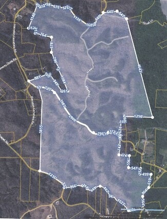 Plus de détails pour 0 Sandys Camp Rd, Big Sandy, TN - Terrain à vendre