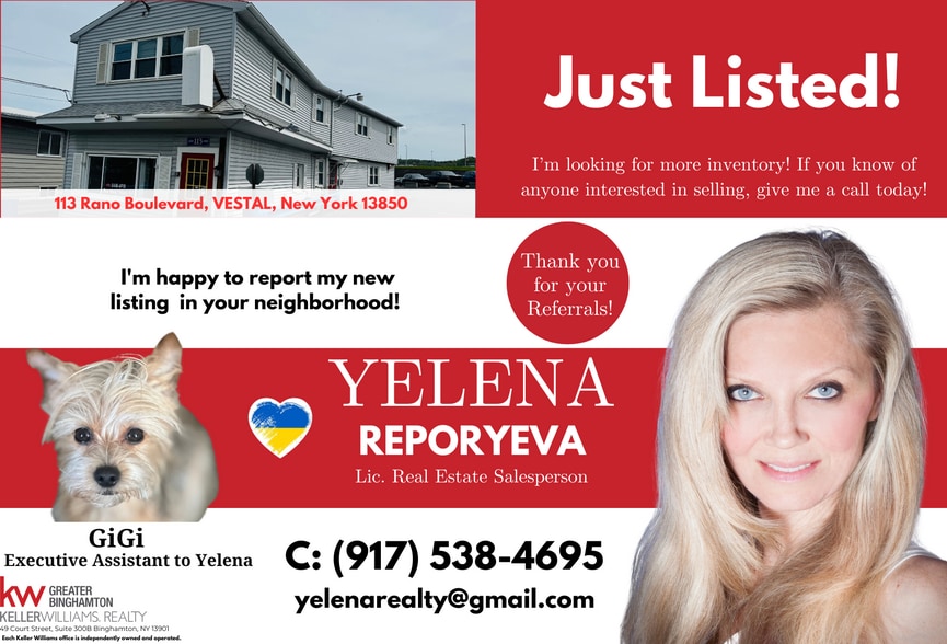 113 Rano Blvd, Vestal Township, NY for sale - Building Photo - Image 1 of 1