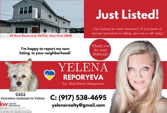 Plus de détails pour 113 Rano Blvd, Vestal Township, NY - Commerce de détail à vendre