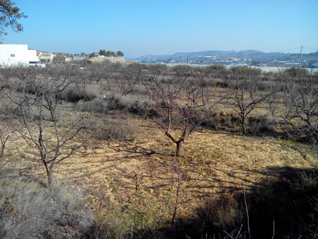 Land in Cehegín, Murcia for sale - Site Plan - Image 2 of 8