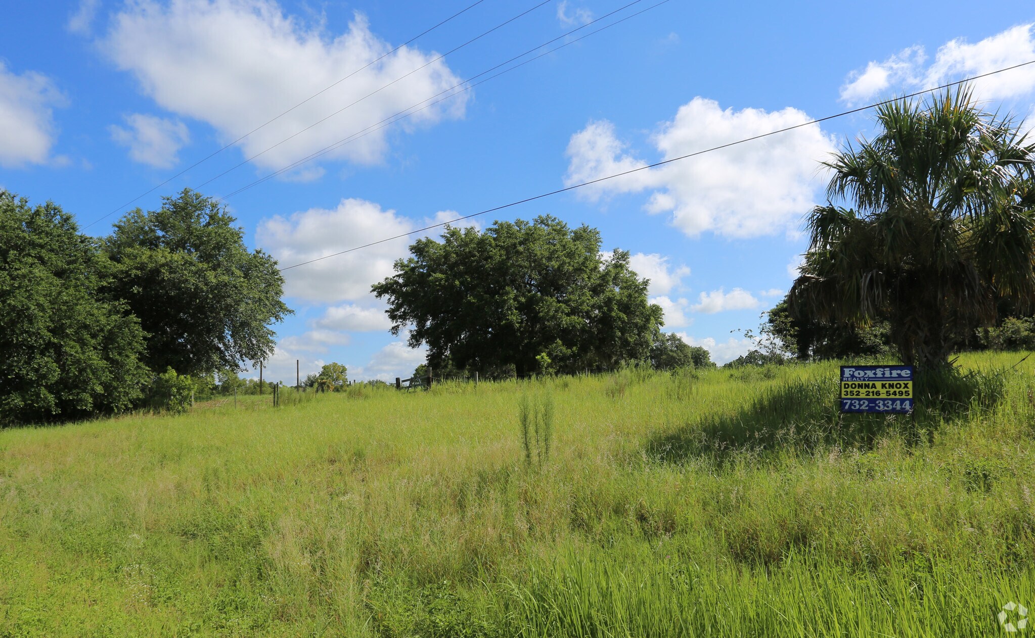 16000 SE 97th Terrace Rd, Summerfield, FL for sale Primary Photo- Image 1 of 6