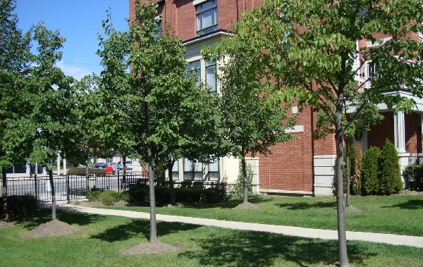 165 Lakeshore Rd E, Mississauga, ON for lease - Building Photo - Image 2 of 20