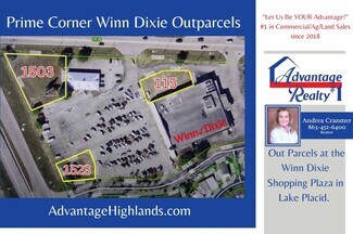 Plus de détails pour 1503 US Highway 27 S, Lake Placid, FL - Terrain à vendre