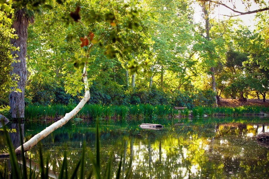 6036 Rainbow Heights Rd, Fallbrook, CA à vendre - Photo du bâtiment - Image 2 de 111