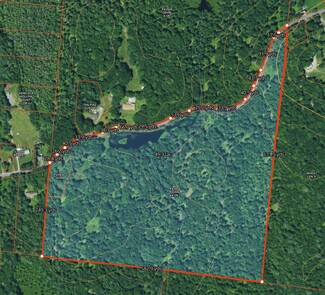 Plus de détails pour 384 Dingle Daisy Rd, Monticello, NY - Terrain à vendre