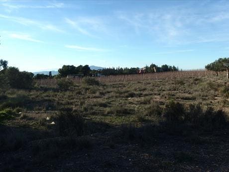 Terrain dans Molina de Segura, Murcia à vendre - Plan de site - Image 2 de 4