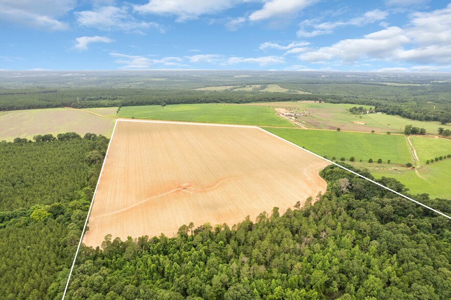0 Old Stage rd, Repton, AL for sale - Building Photo - Image 2 of 27