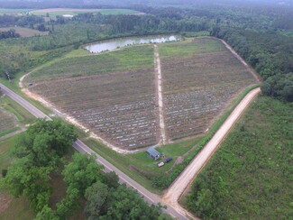 Plus de détails pour Harmony Road, Meigs, GA - Terrain à vendre