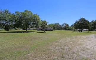 More details for 3114 County Road 220, Middleburg, FL - Land for Sale