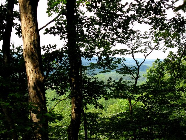 Grizzle Rd, Dawsonville, GA à vendre - Photo principale - Image 1 de 1