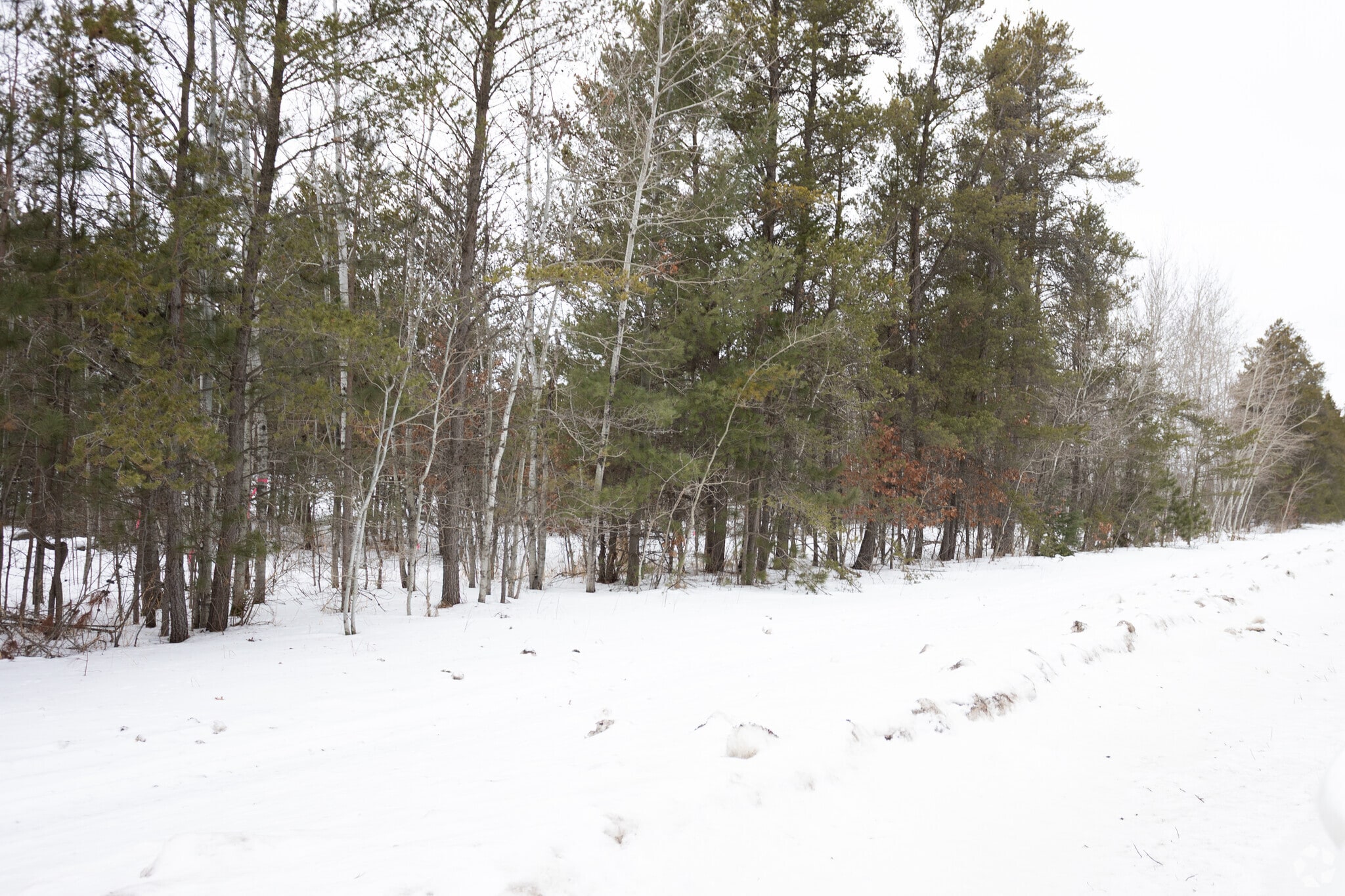 929 Dorado Dr N, Pillager, MN for sale Building Photo- Image 1 of 2