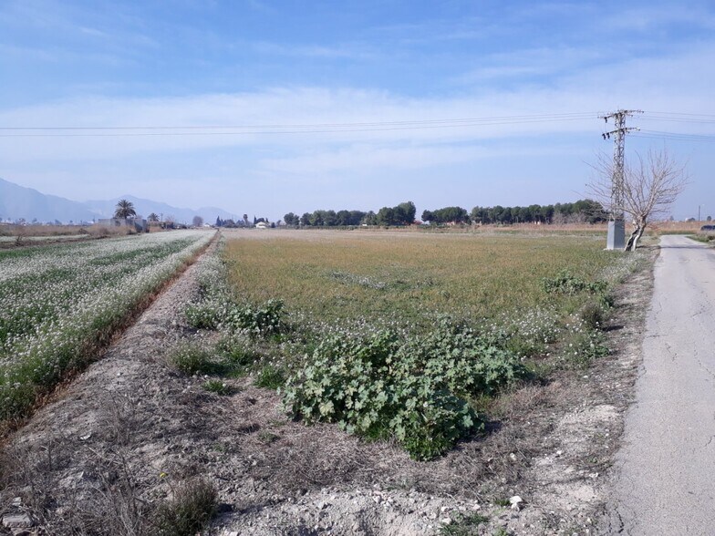 Terrain dans Granja de Rocamora, Alicante à vendre - Plan de site - Image 2 de 5