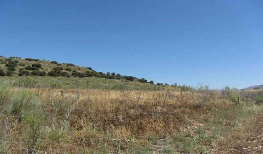 Land in Atarfe, Granada for sale - Site Plan - Image 3 of 9