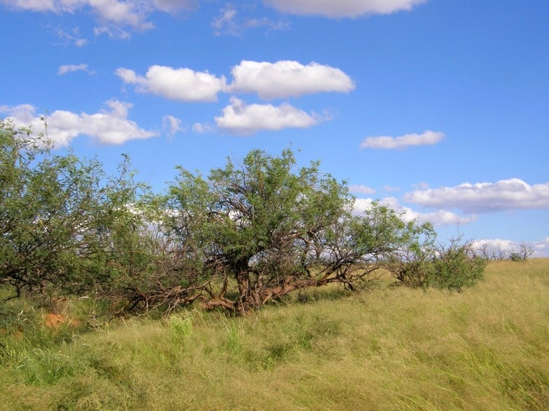 E Cochise Trl, Saint David, AZ for sale - Building Photo - Image 3 of 4