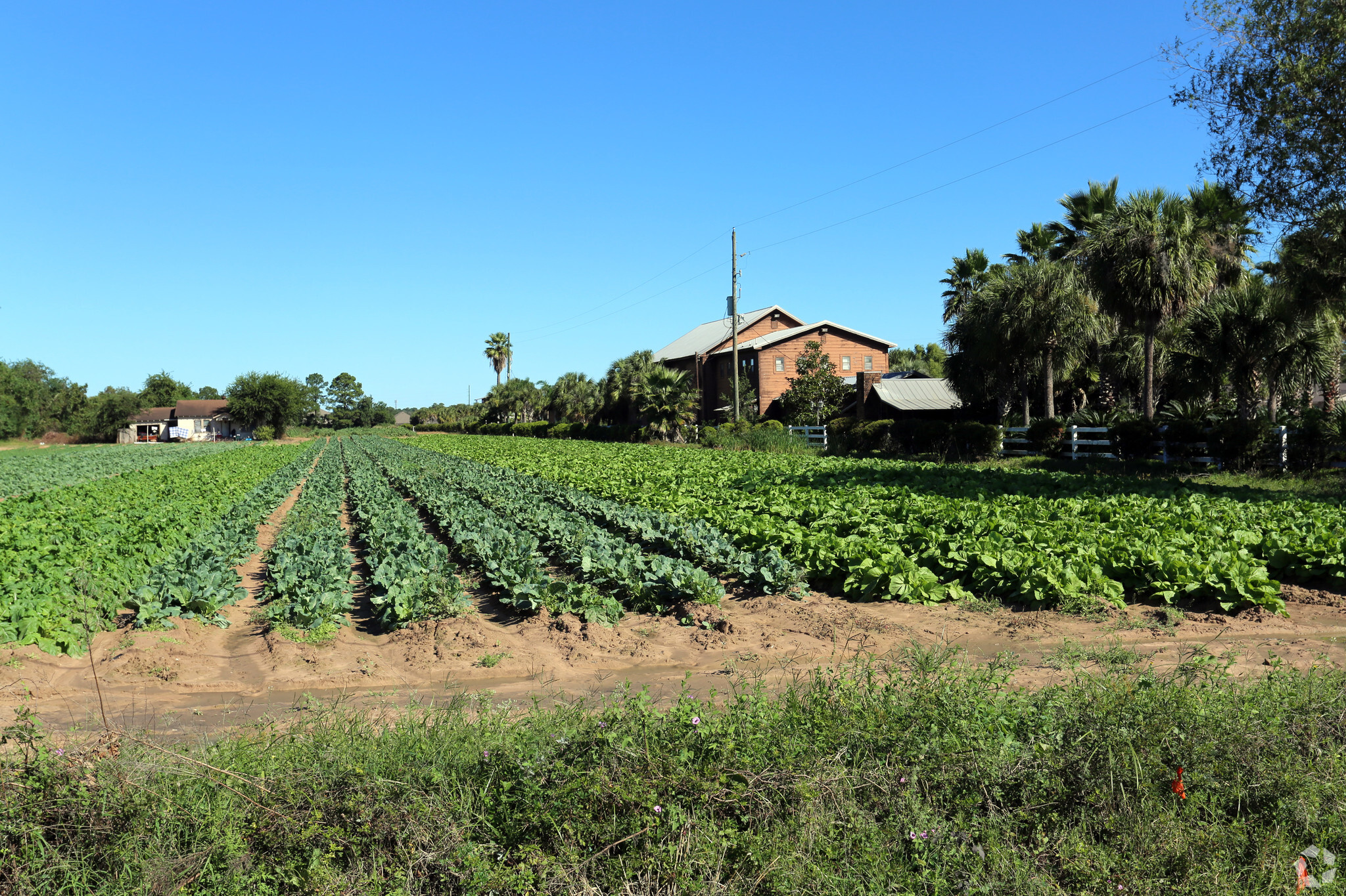 4100 Fm-2920, Spring, TX à vendre Photo principale- Image 1 de 7