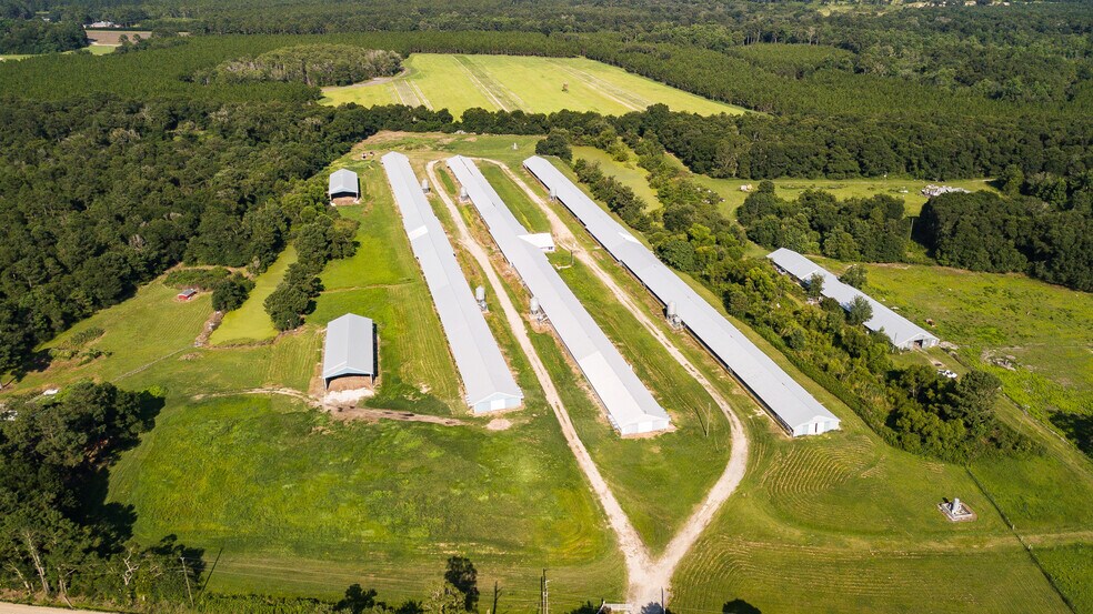 1291 Myron Hart Rd, Coolidge, GA for sale - Building Photo - Image 2 of 57