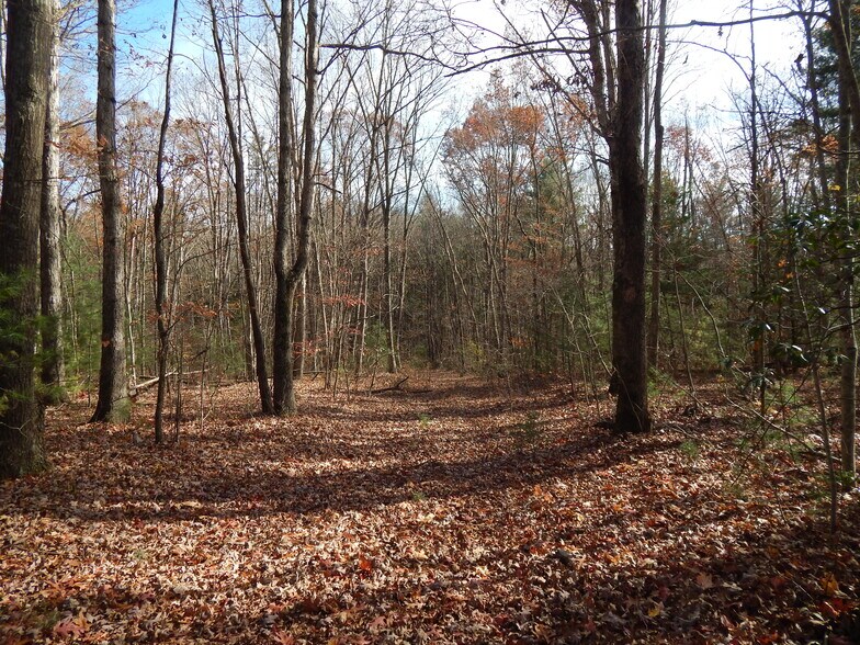 000 Thompson Cove Rd, Clyde, NC à vendre - Photo du bâtiment - Image 1 de 2