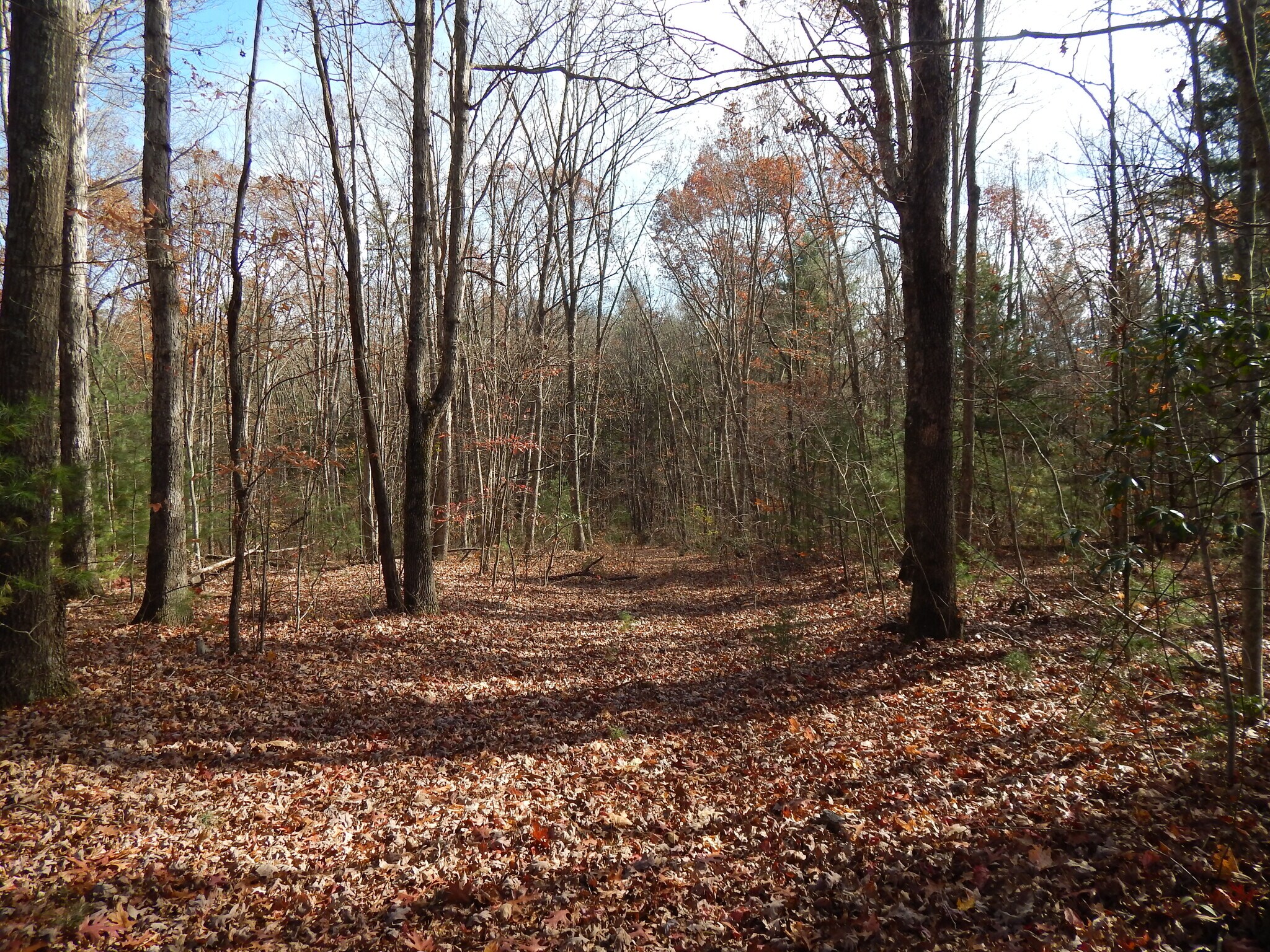 000 Thompson Cove Rd, Clyde, NC for sale Building Photo- Image 1 of 3