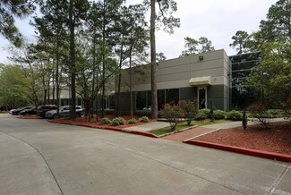 Plus de détails pour 4200 Research Forest Dr, The Woodlands, TX - Bureau à louer