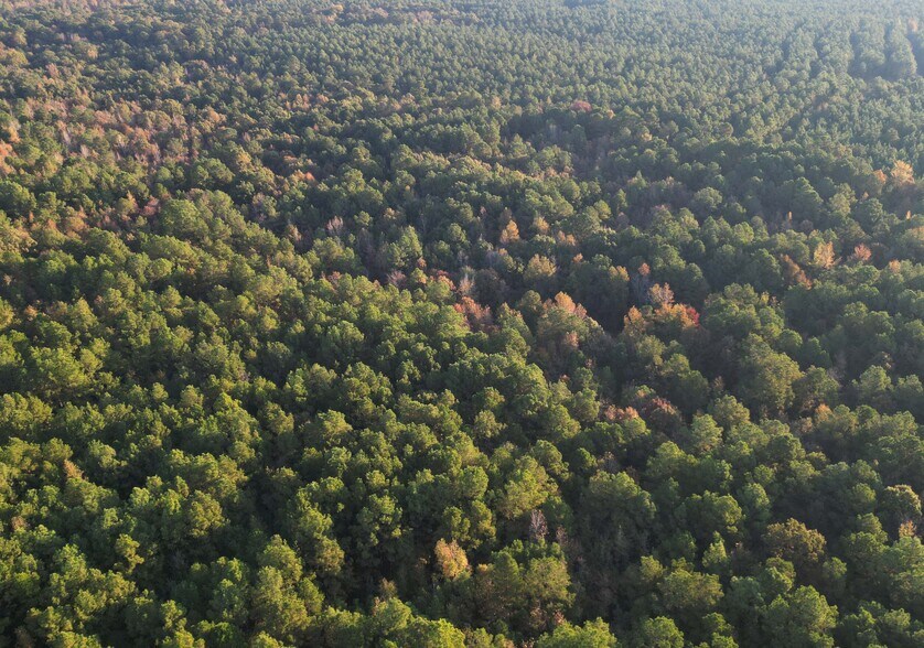 TBD Miller County 32, Doddridge, AR à vendre - Photo du bâtiment - Image 2 de 12