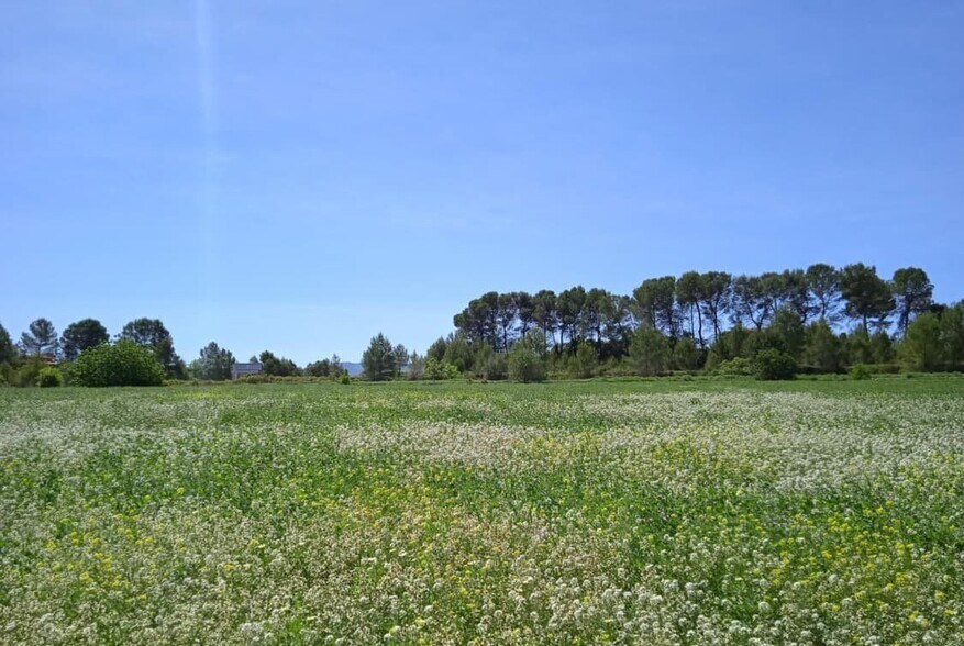 Land in Agullent, Valencia for sale - Site Plan - Image 2 of 7