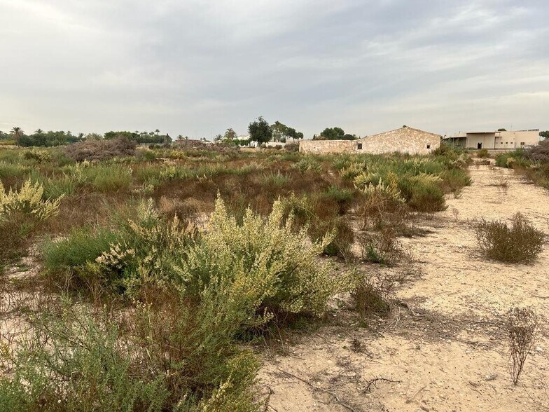 Terrain dans Elche, Alicante à vendre - Plan de site - Image 1 de 7