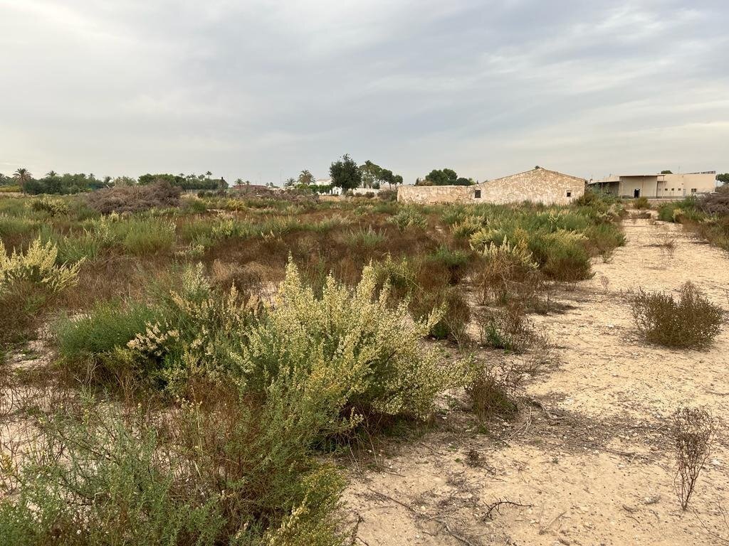 Land in Elche, Alicante for sale Site Plan- Image 1 of 8
