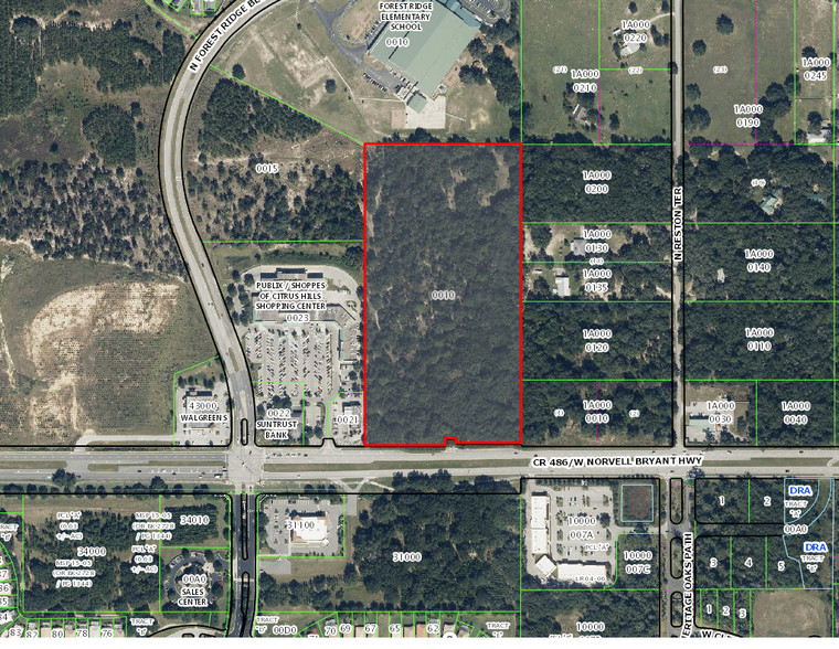 555 W Norvell Bryant Hwy, Lecanto, FL for sale - Primary Photo - Image 1 of 1