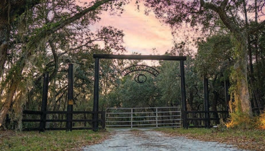 2580 County 419 rd, Chuluota, FL à vendre - Autre - Image 3 de 3