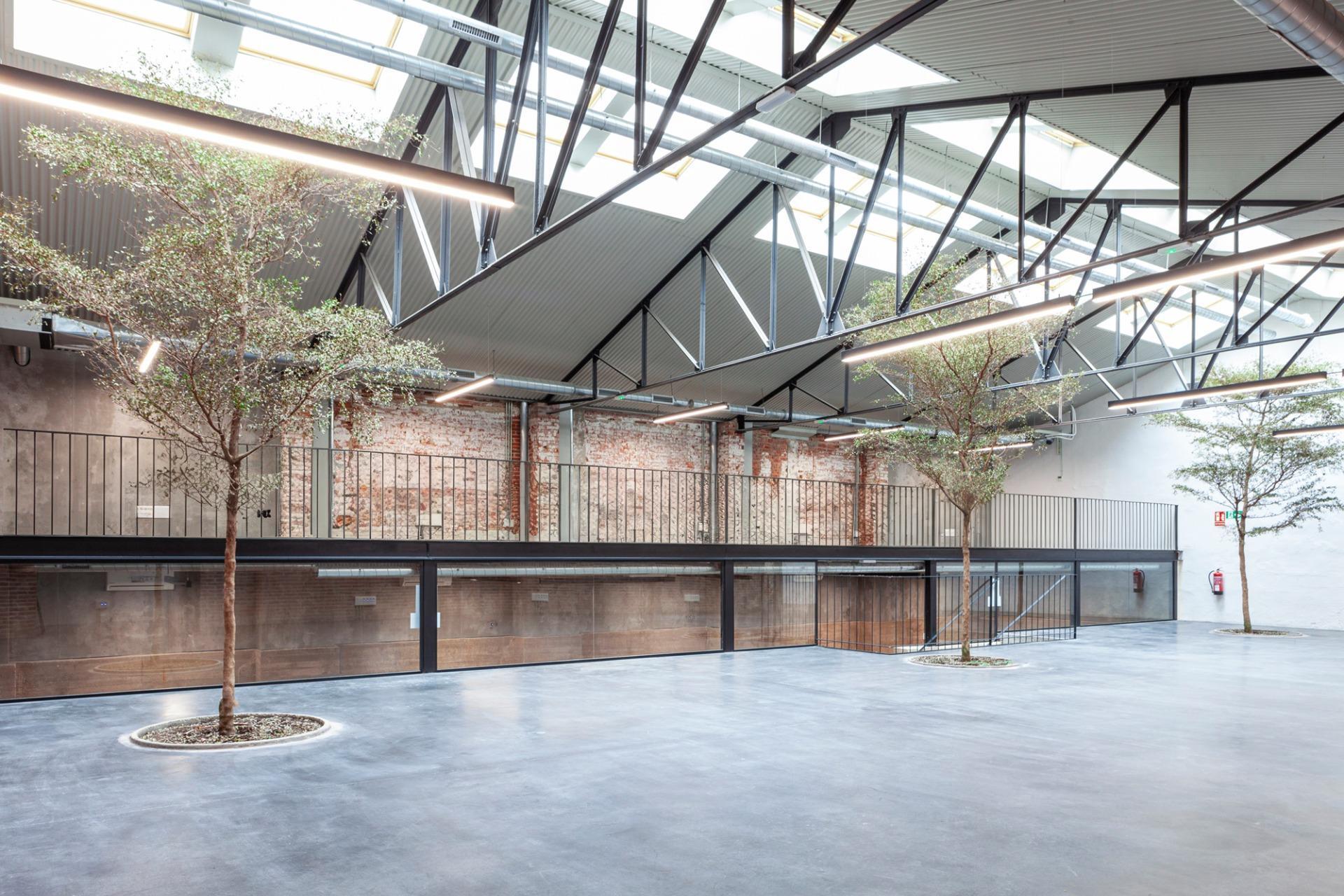 Office in Madrid, Madrid for lease Primary Photo- Image 1 of 4