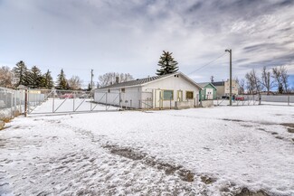 Plus de détails pour 228 Centre St NE, Langdon, AB - Flex à vendre