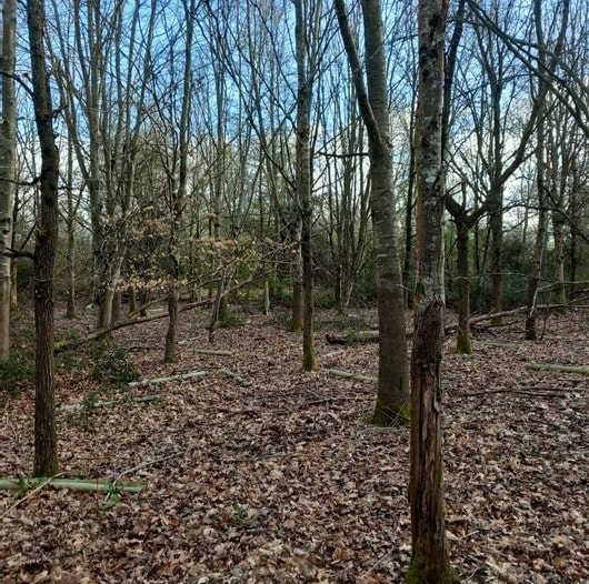 B2128, Rudgwick for sale - Other - Image 2 of 5