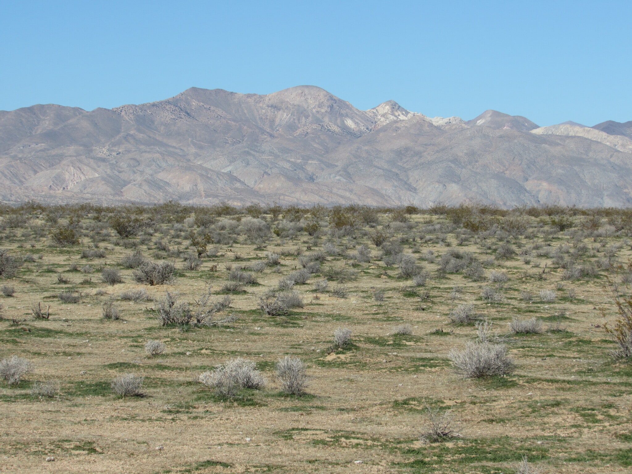 302-460-09-00-2 Isabella Blvd, California City, CA for sale Primary Photo- Image 1 of 7