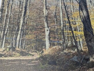 More details for 1928 VT-131, Springfield, VT - Land for Sale