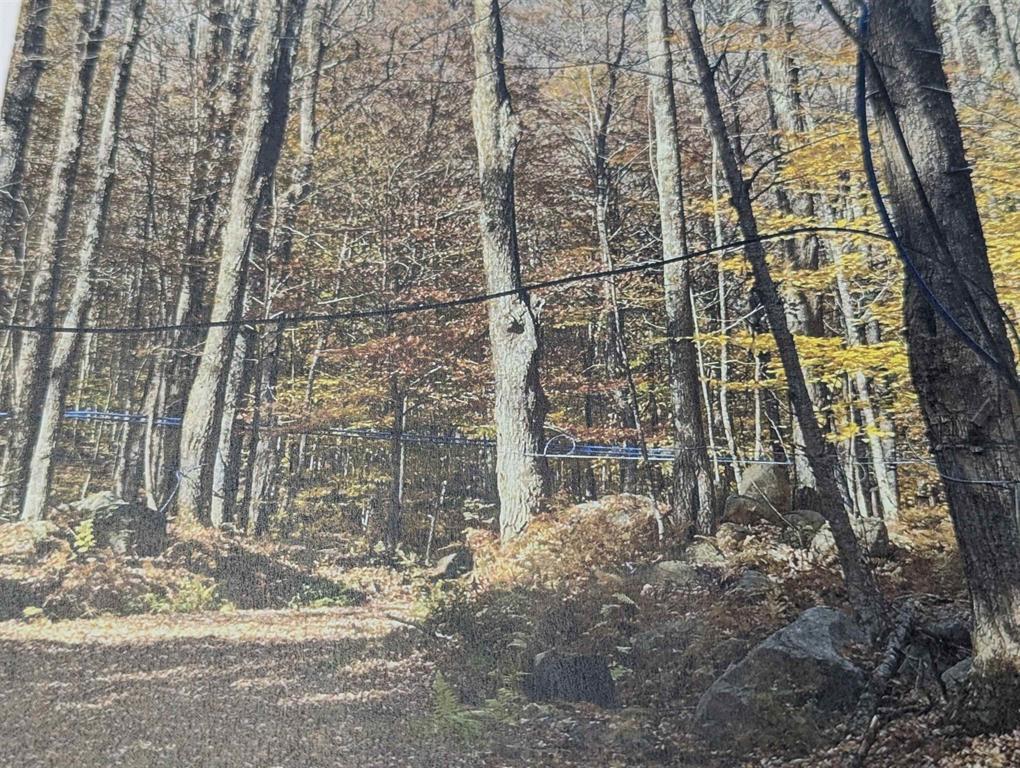 1928 VT-131, Springfield, VT à vendre Photo principale- Image 1 de 13