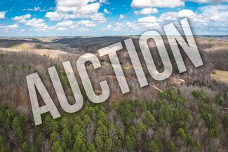Plus de détails pour 3385 County Road 5615, Bunker, MO - Terrain à vendre