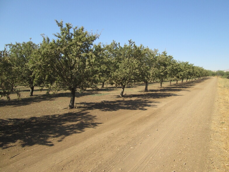 29407 Eastin Rd, Newman, CA for sale - Building Photo - Image 2 of 8