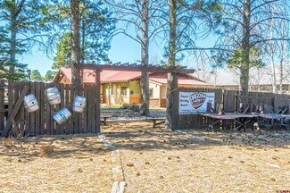 Plus de détails pour 118 N Pagosa Blvd, Pagosa Springs, CO - Commerce de détail à vendre