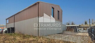 Plus de détails pour Flex à vendre